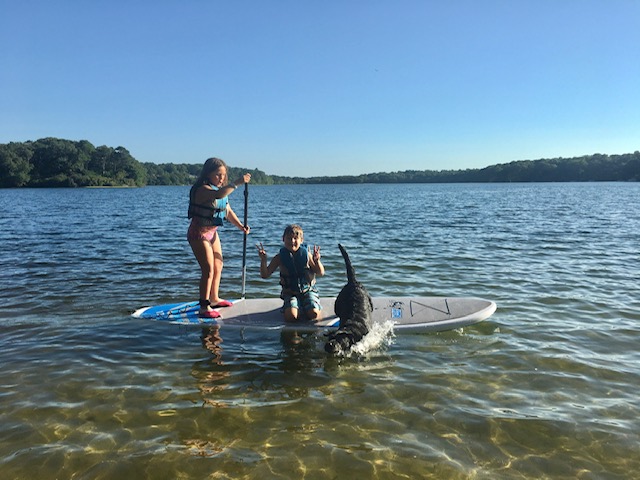 Boarding a SUP board with a puppy